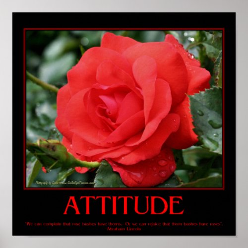 Motivational Attitude Poster Roses Thorns Quote by SmilinEyes 