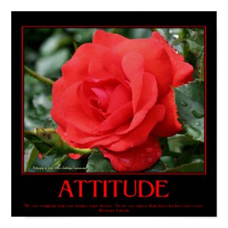 Motivational Attitude Poster Roses Thorns Quote print