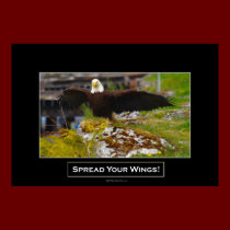 Motivational Bald Eagle Art Print