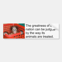 Motivational Gandhi Animal Quote Bumper Stickers