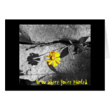 Motivational "Grow where you're planted" Note Card