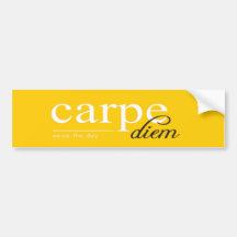 Motivational Inspirational Quote Bumper Stickers