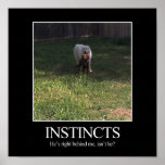 Motivational Poster, INSTINCTS posters