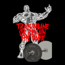 Motivational Train Insane Weightlifting Poster posters
