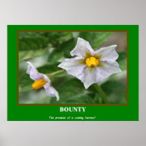 MotivationalPoster - Bounty