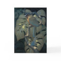 Motmot cards by carpenterjim Motmot cards