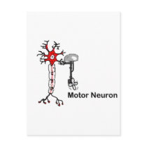 Motor Neuron Postcard