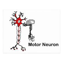 Motor Neuron Postcards