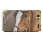 Motorola Razr Case - Customized Droid RAZR Cases