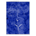 Mots-graines / Words-seeds cards