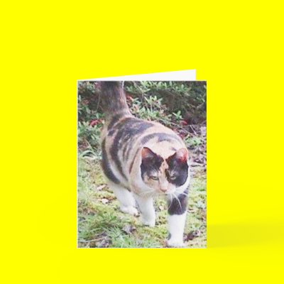 Mott, the Cat, Notecard by ohmeakanancy