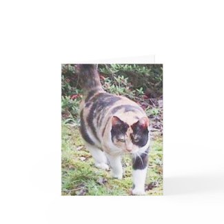 Mott, the Cat, Notecard card