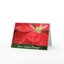 Mottled Red Poinsettias 1 cards