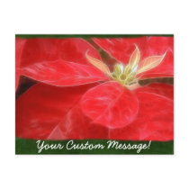 Mottled Red Poinsettias 1 postcards
