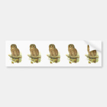 Mottled Wood Owl Bumper Sticker