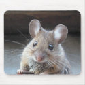 Moue mousepad