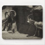 Mouflon Wild Sheep Scratc...