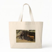 Mouflon Wild Sheep Scratching 1 bags