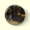 Mouflon Wild Sheep Scratching 1 buttons by WildAnimalArt Mouflon Wild Sheep Scratching 1 buttons
