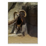 Mouflon Wild Sheep Scratc...
