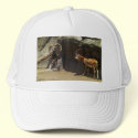 Mouflon Wild Sheep Scratching 1 hats by WildAnimalArt Mouflon Wild Sheep Scratching 1 hats