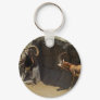 Mouflon Wild Sheep Scratc...