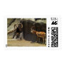 Mouflon Wild Sheep Scratc...