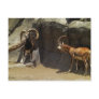 Mouflon Wild Sheep Scratc...