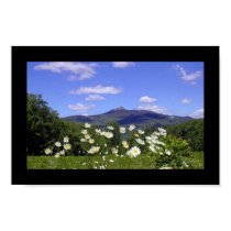 Mount Chocorua posters by Litelisa Mount Chocorua posters