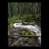 Mount Hood Stream posters