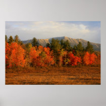 Mount Katahdin Autumn Morning Posters