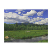 Mount Katahdin from Golden Road Postcards