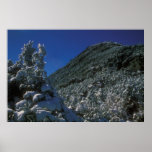 Mount Mansfield Summit Snow Poster