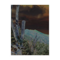 Mount Mitchell, North Carolina postcards by greensthescene Mount Mitchell, North Carolina postcards