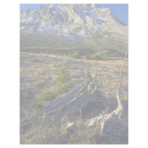 Mount Rae, Alberta, Canada Letterhead