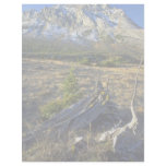 Mount Rae, Alberta, Canada Letterhead