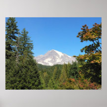 Mount Rainier framed by pine and maple trees Poster