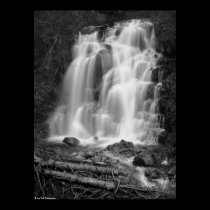 Mount Rainier National Park Waterfall BW posters