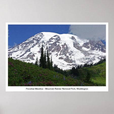 Mount Rainier Paradise Meadow Poster print