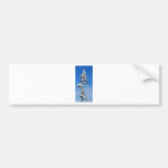 Mount Rainier Pine Bumper Stickers