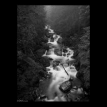Mount Rainier Stream posters