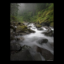 Mount Rainier Stream posters