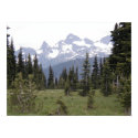 Mount Rainier Sunrise posters