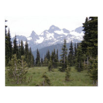 Mount Rainier Sunrise posters