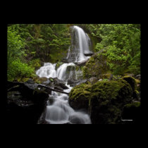 Mount Rainier Waterfall posters