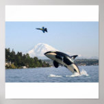 MOUNT RANIER ORCA KILLER WHALE BLUE ANGELS POSTERS