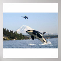 MOUNT RANIER ORCA KILLER WHALE BLUE ANGELS POSTERS