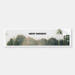 Mount Rushmore bumpersticker Bumper Stickers
