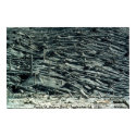 Mount St. Helens Blast / September 24, 1980 posters