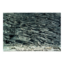 Mount St. Helens Blast / September 24, 1980 posters